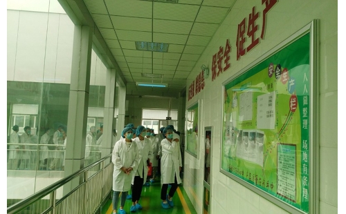 值公司成立十周年慶典，公司贊助萬名老人免費(fèi)游寧夏系列活動