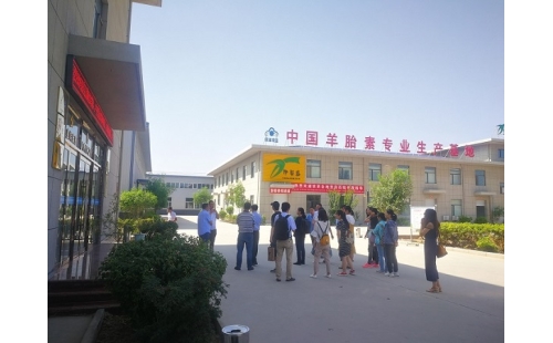 江南大學、寧夏大學課題組專家蒞臨伊百盛調(diào)研交流
